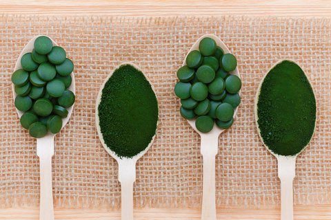 Sun Chlorella