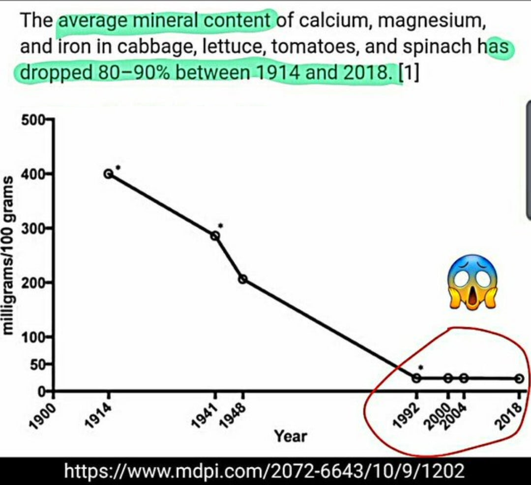 Magnesium, Bioavailable - crucial mineral