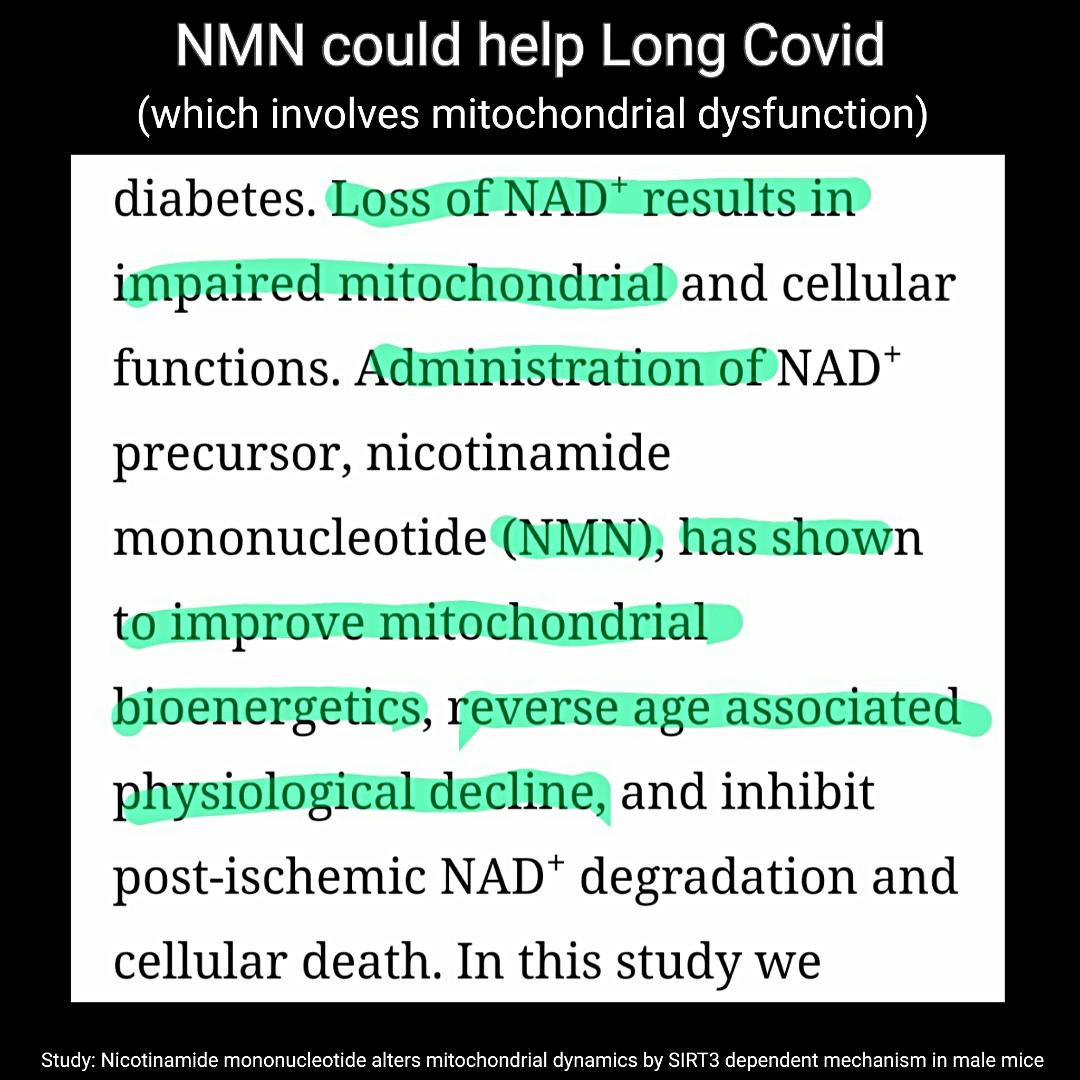 NMN - mitochondria support*