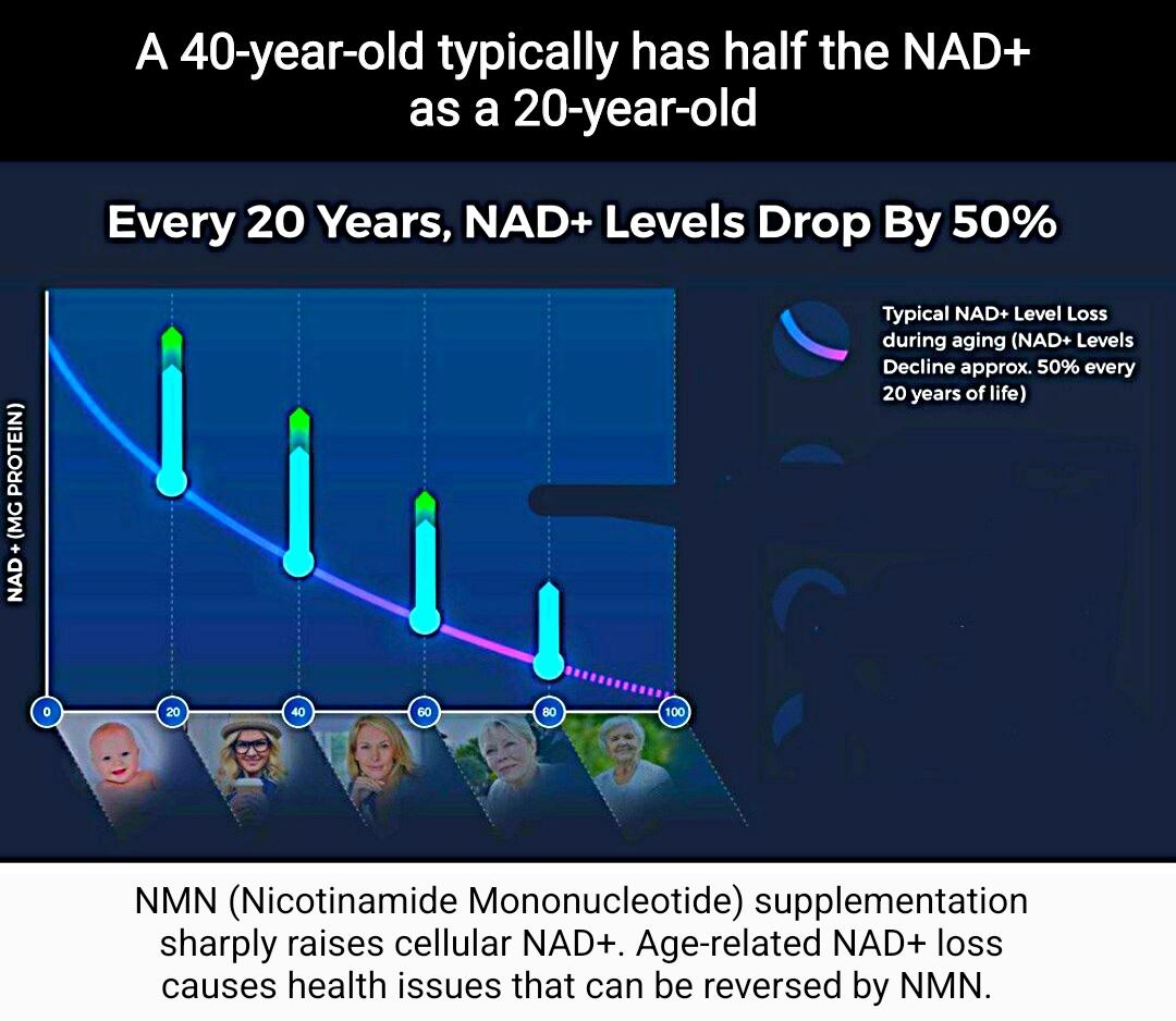 NMN - mitochondria support*